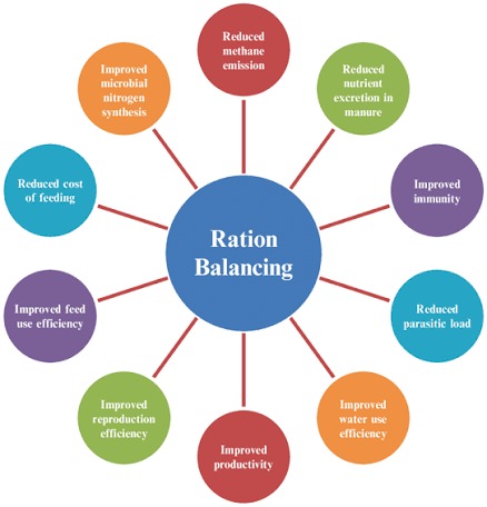BALANCED RATION: THE FOUNDATION OF HEALTHY ANIMAL PRODUCTION